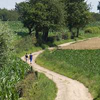 Wandelen in Limburg