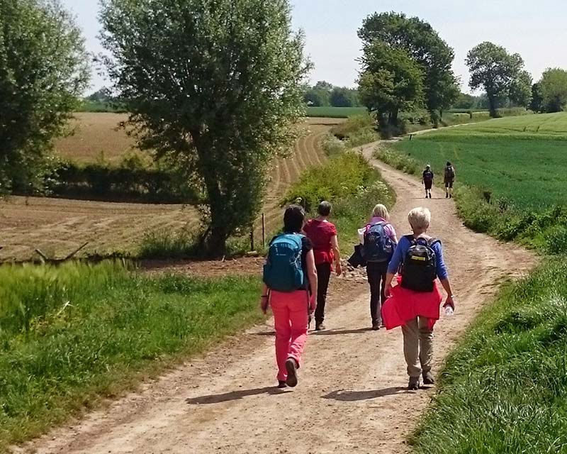 Wandelweekend Via Regia